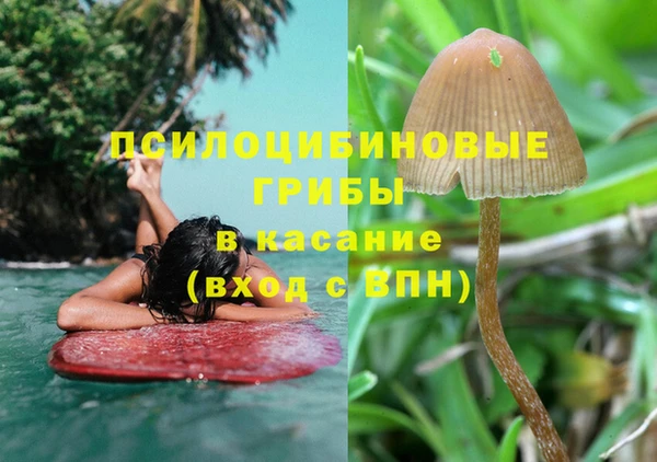 MESCALINE Бородино